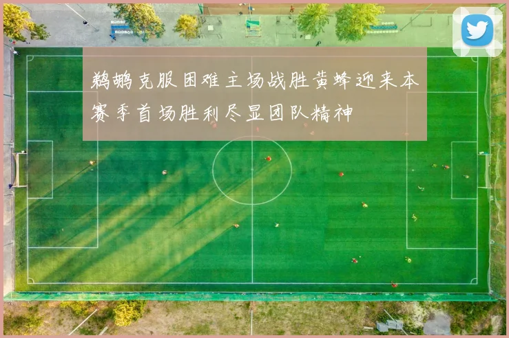 鹈鹕克服困难主场战胜黄蜂迎来本赛季首场胜利尽显团队精神