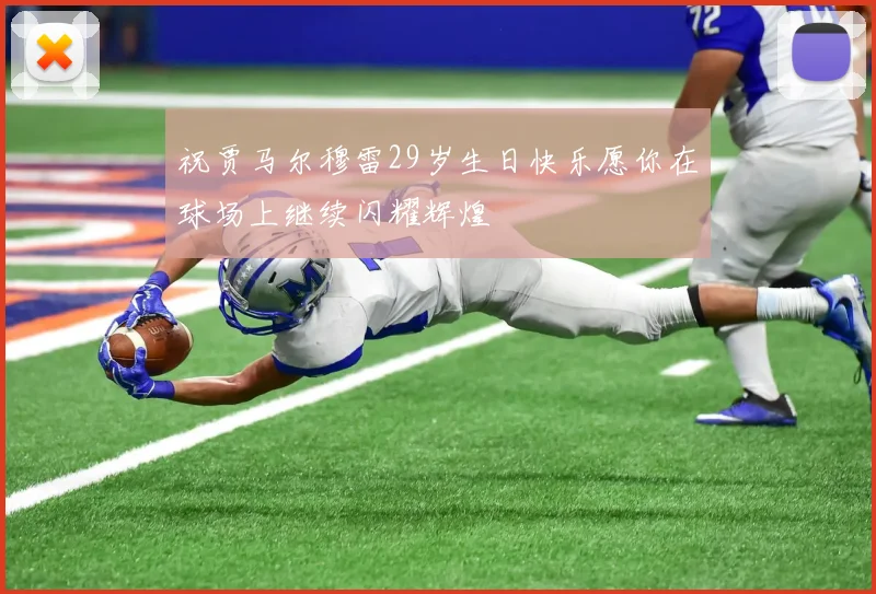 祝贾马尔穆雷29岁生日快乐愿你在球场上继续闪耀辉煌