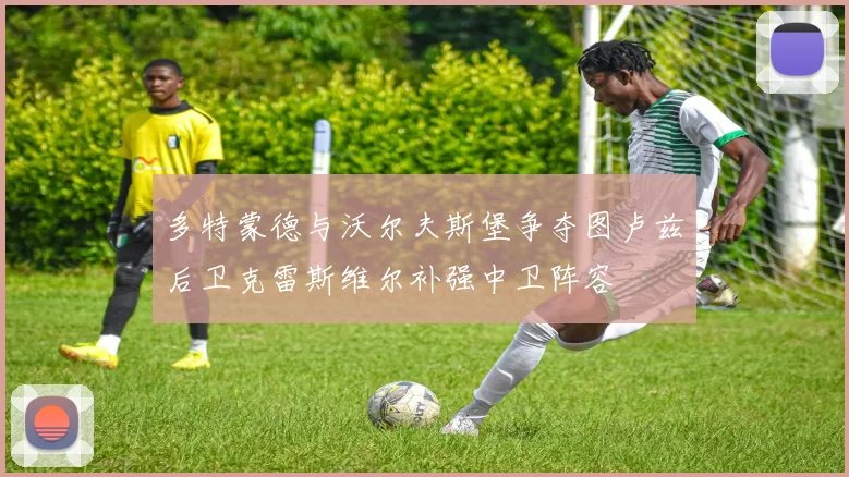 多特蒙德与沃尔夫斯堡争夺图卢兹后卫克雷斯维尔补强中卫阵容
