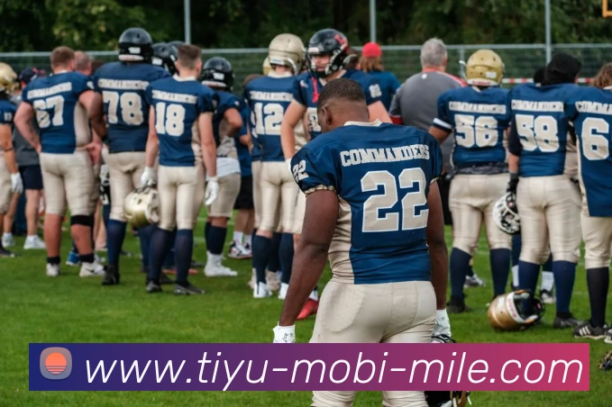 米乐体育平台生态图