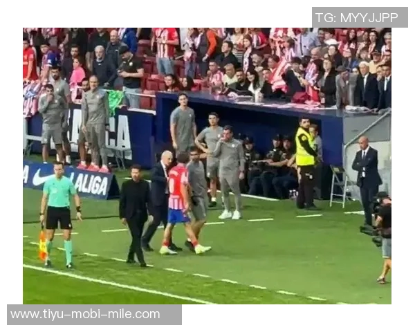 巴里奥斯强调欧冠重要性认为瑟尔洛特应得点球机会 巴里奥斯强调欧冠重要性认为瑟尔洛特应得点球机会